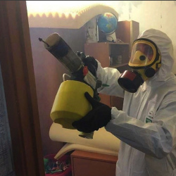 Уничтожение клопов в квартире. Щигры